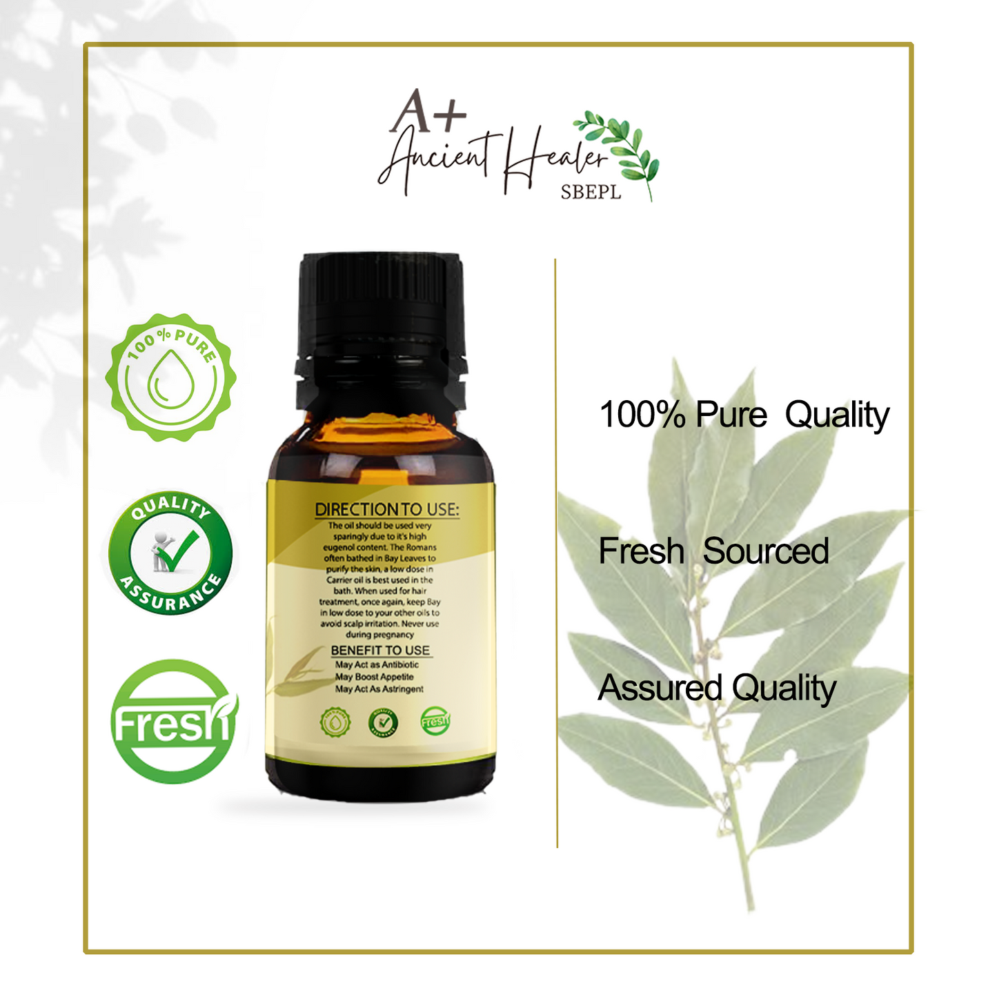 Bay Leaf Essential Oil – Pure & Steam Distilled