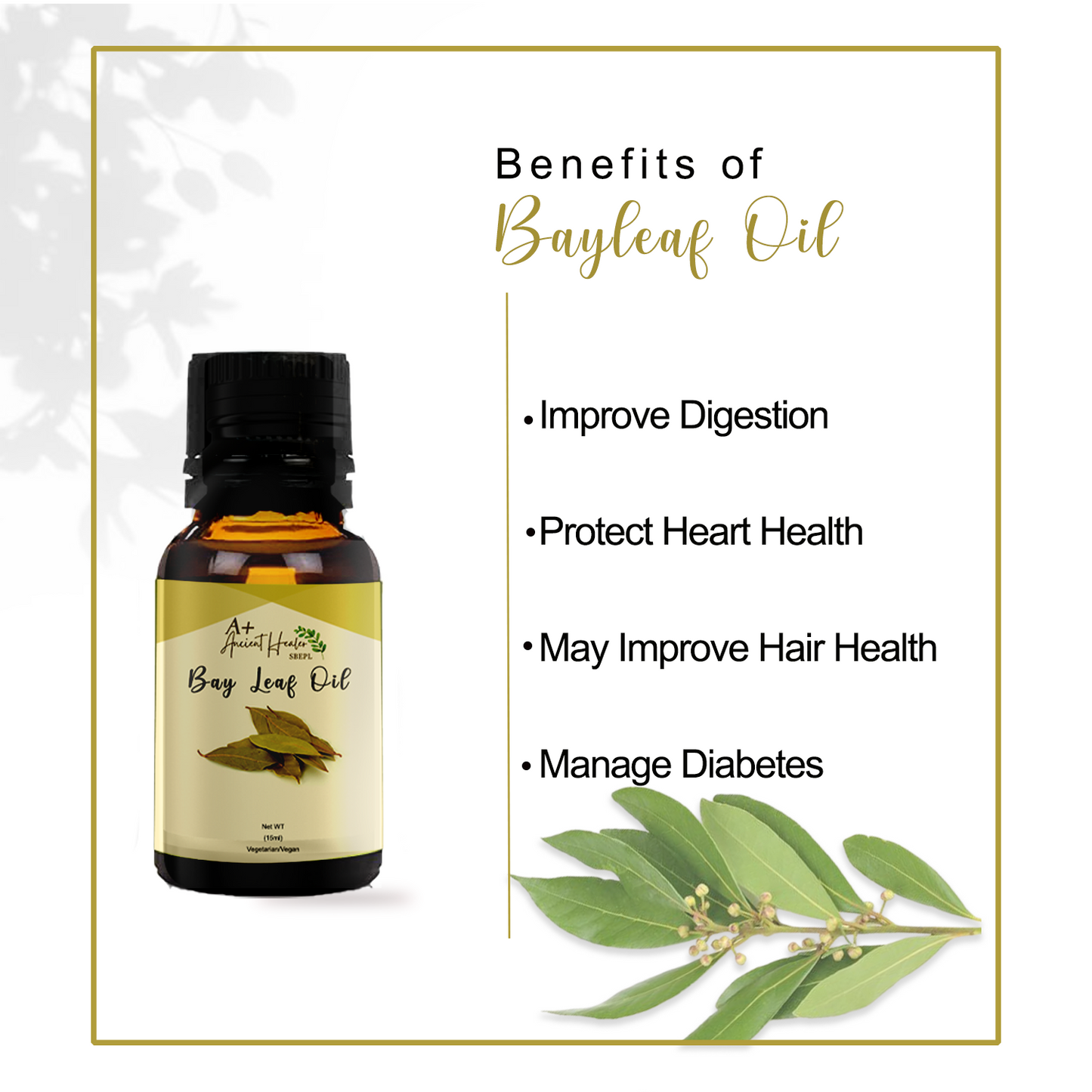 Bay Leaf Essential Oil – Pure & Steam Distilled