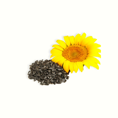 SUNFLOWER OIL