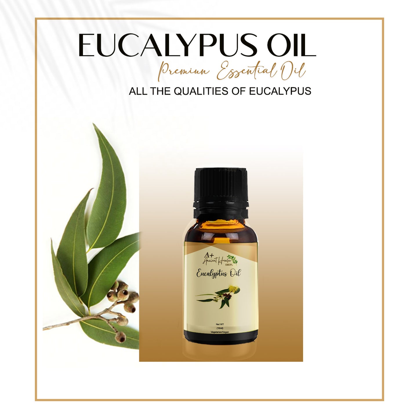 EUCALYPTUS ESSNTIAL OIL