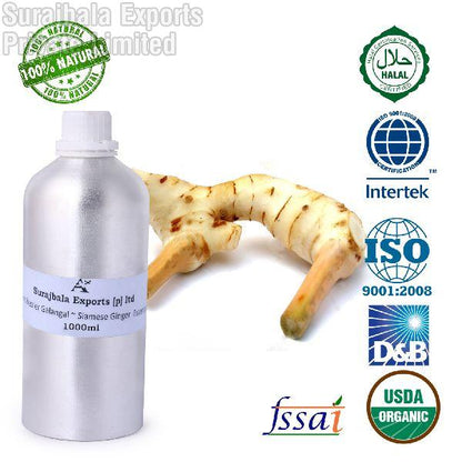 GALANGAL ~ SIAMESE GINGER