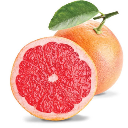 GRAPEFRUIT oil