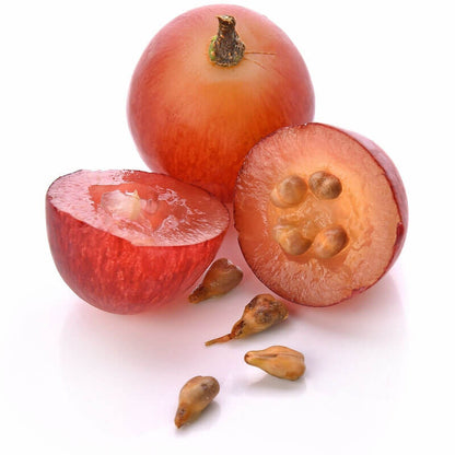 GRAPE SEED OIL