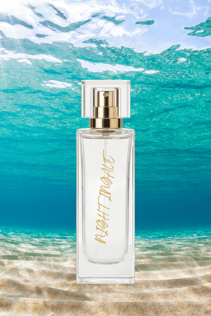 NIGHT ANGLE + HUMMER