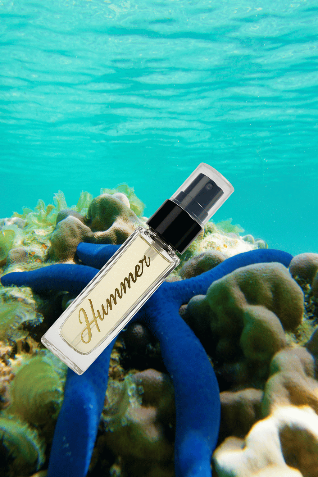 NIGHT ANGLE + HUMMER