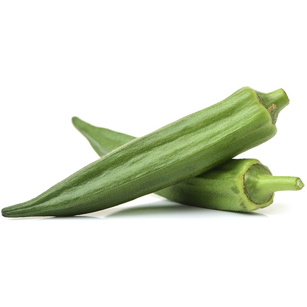 OKRA OIL (LADY FINGER)