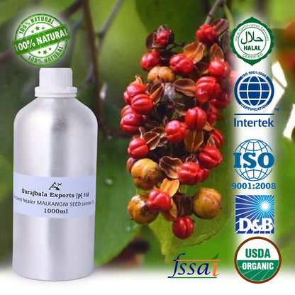MALKANGNI SEED OIL