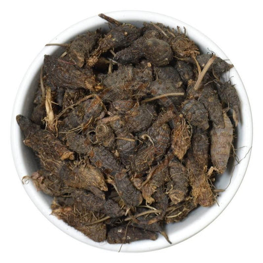 NAGARMOTHA