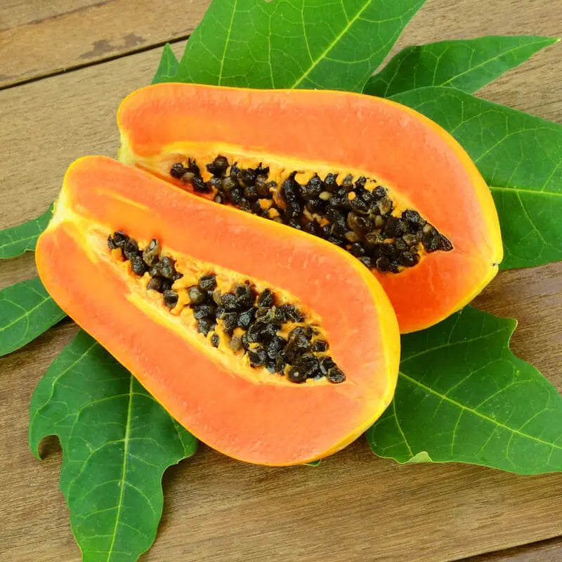 PAPAYA SEED OIL