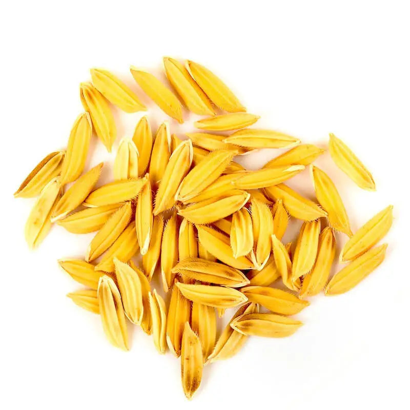RICE BRAN OIL