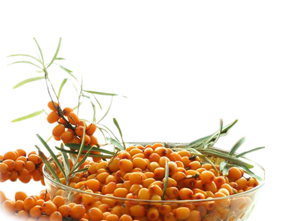 ANCIENT FLAVOURS |  Pure Sea Buckthorn Juice in a convenient 500ml bottle. Rich in natural vitamins, minerals, and antioxidants, this golden juice supports immunity and overall wellness.