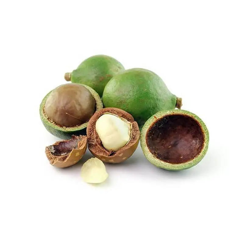 TAMANU OIL