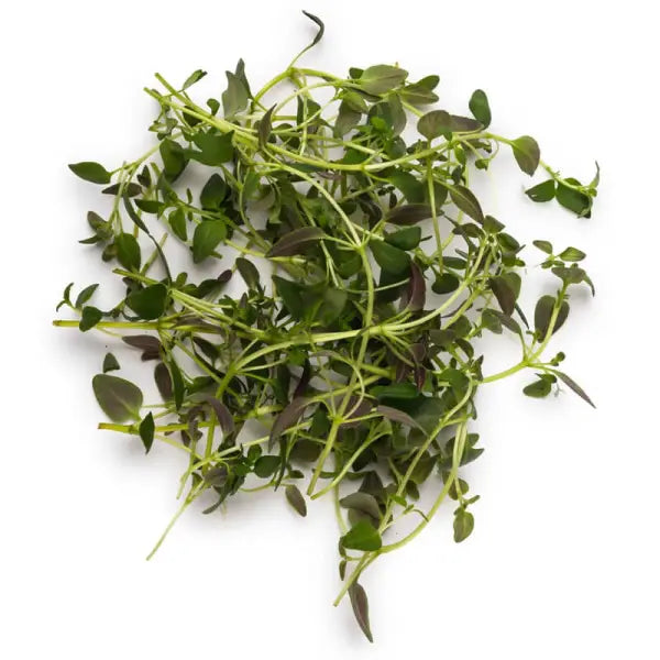 THYME OIL