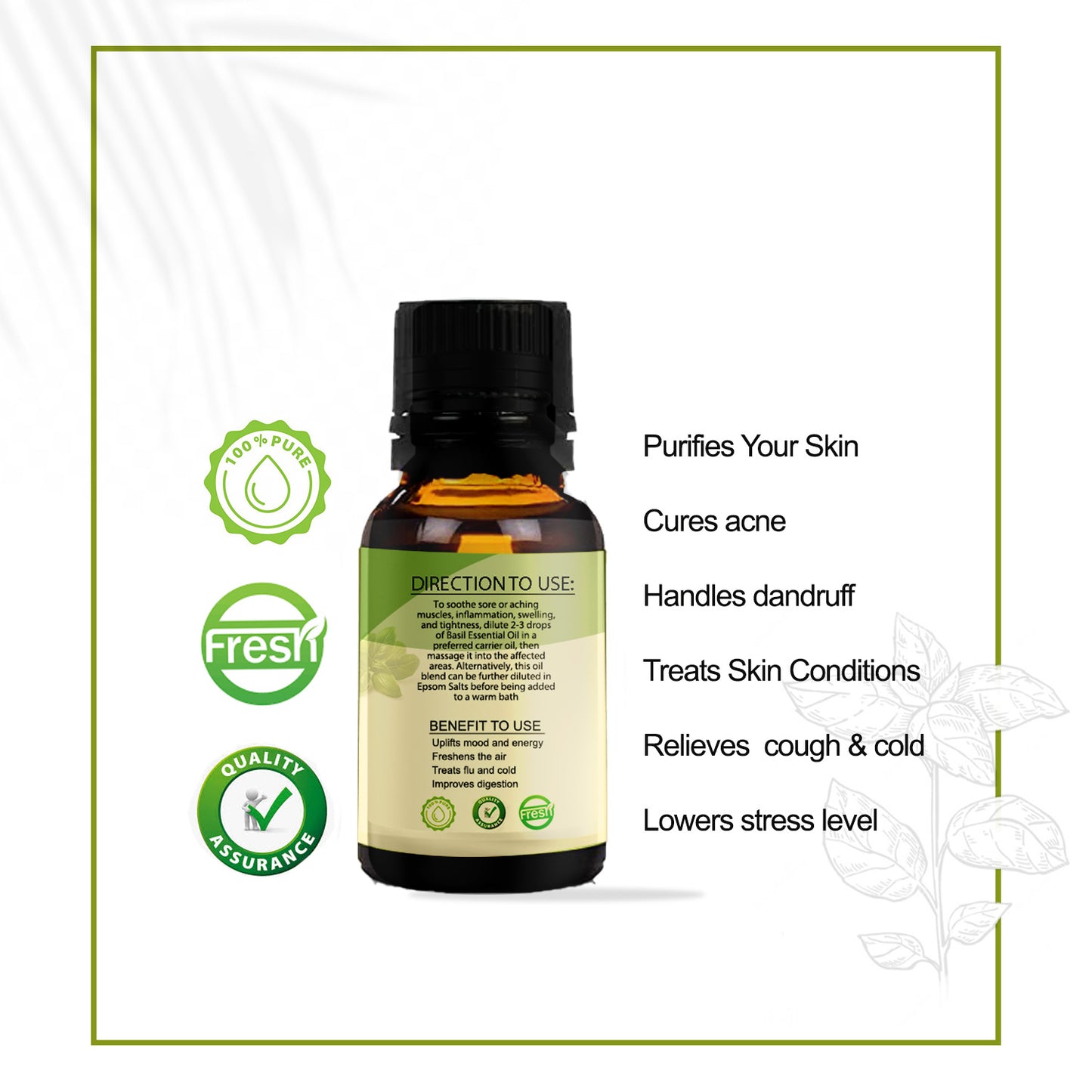 Basil Essential Oil – Pure & Steam Distilled