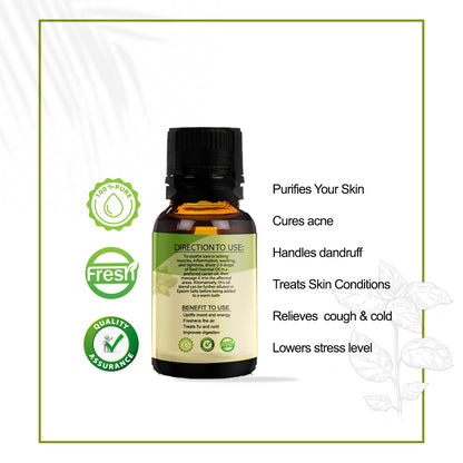 Basil Essential Oil – Pure & Steam Distilled