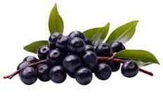 ANCIENT FLAVOURS | Rich, naturally sweet jamun juice in a convenient 500ml bottle.