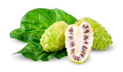 ANCIENT FLAVOURS | Pure Noni juice 500ml extracted from premium quality noni fruits,