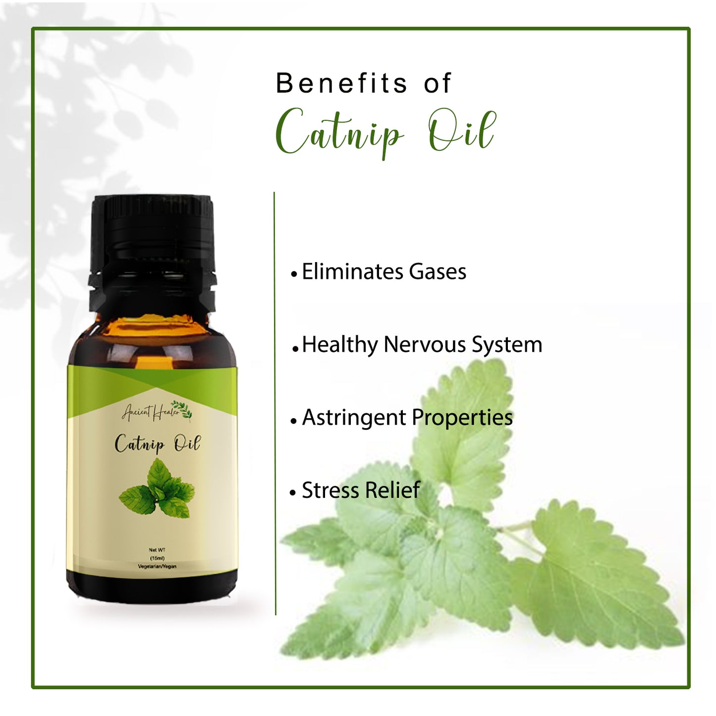 Catnip Oil C